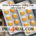 What Is Kamagra 100Mg Oral Jelly Used For levitra2